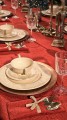 Czerwony_obrus_FROZEN_RED_Ma-Maison